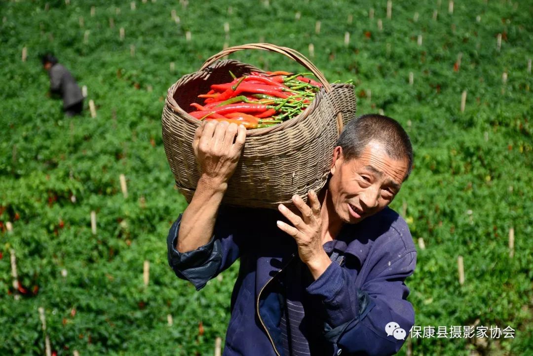 首个"中国农民丰收节,必将在秋天的大地上留下一个充满喜悦的感叹号.