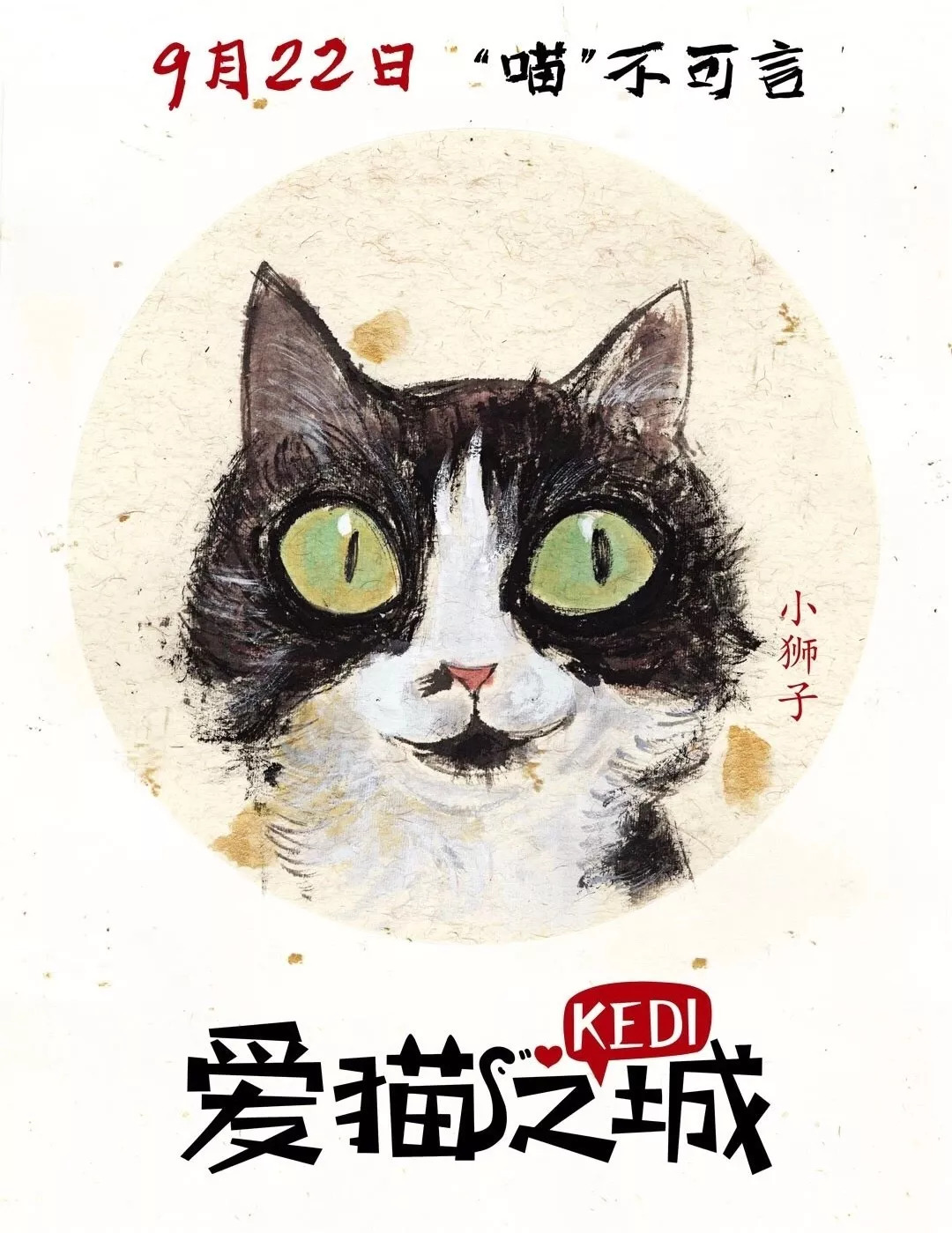 《爱猫之城》