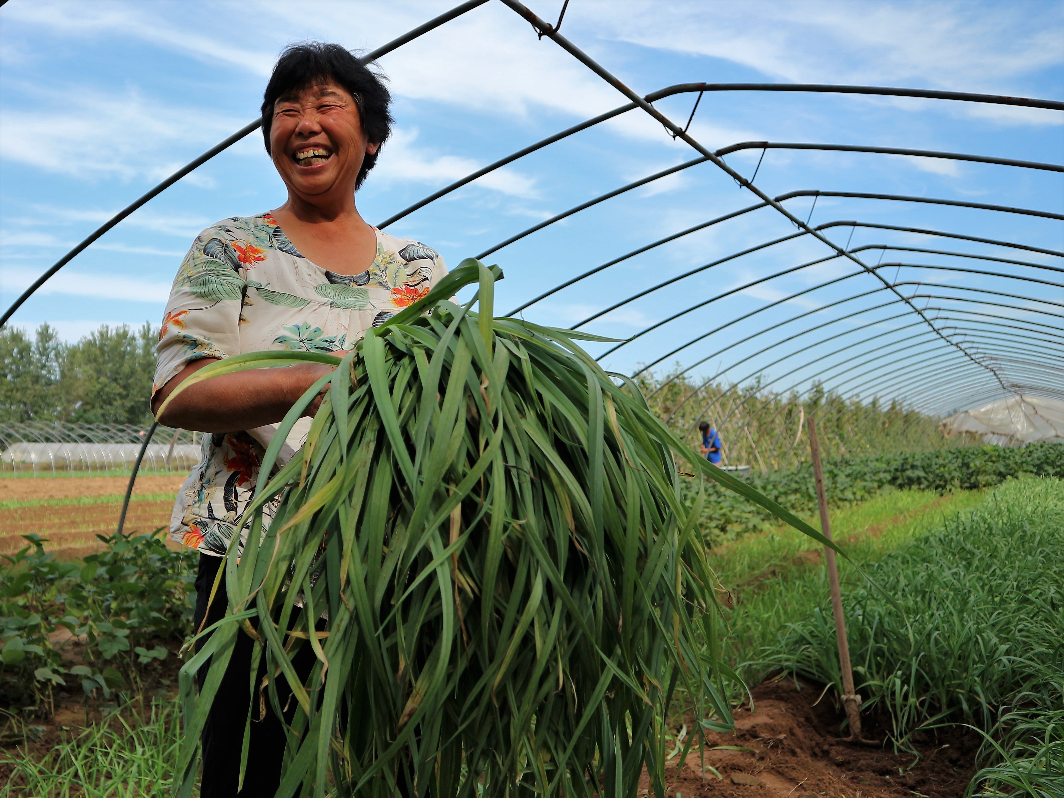 农村妇女种植一种蔬菜,2分地收入2000元,秘诀在哪里?