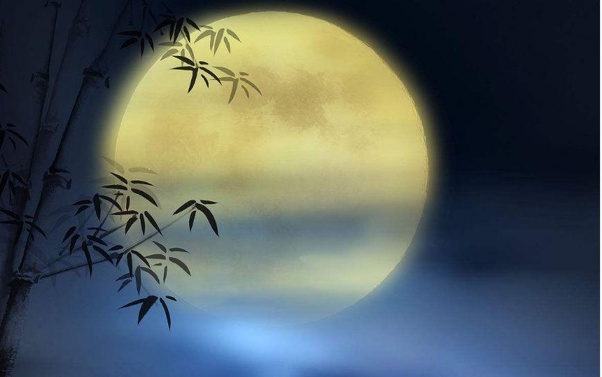 3《八月十五日夜湓亭望月》白居易  昔年八月十五夜,曲江池畔杏园边.