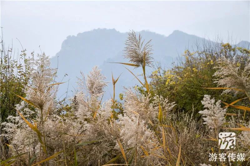 秋游辽宁|北镇大芦花_风景区