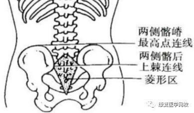 髂骨 髂脊最高点连线:约平第4腰椎棘突 髂后上棘连线:约平对第2骶椎