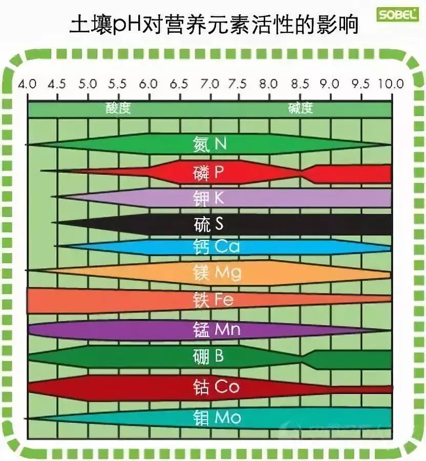 因为在不同的土壤ph值下,微量元素的吸收利用率是完全不一样的.