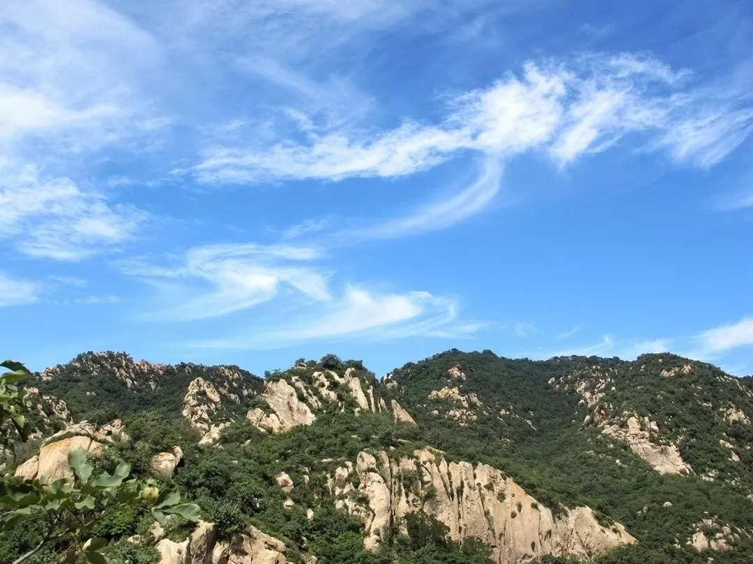 的蜂蜜和柴鸡蛋 图源:大岭沟村猕猴桃景区 既然是看山,那就得先说风景