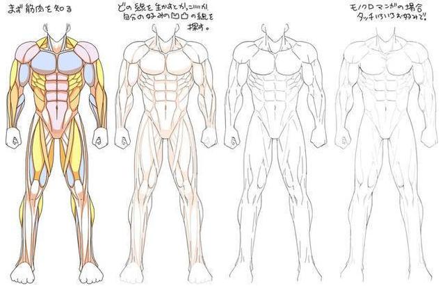 「推荐」动漫人物人体肌肉绘画教程