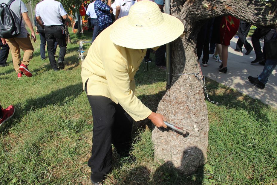 在河南省首届"中国农民丰收节"主会场,新郑土著枣农进行砑枣技艺展示