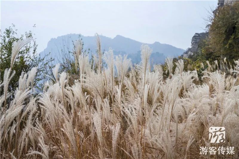 地址:北镇市鲍家乡桃园村大芦花风景区 电话:0416-6242888 图片如需