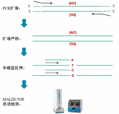 质谱招聘_沃特世全信息串联质谱 MSE简介(4)