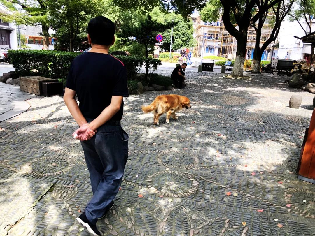 也有游客,附近居民,坐在亭子边纳凉,唠嗑,欣赏,等候舞伴,尤其是七八