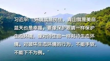 自良镇人口_容县自良镇龙镇村建设广西首个村级湿地公园(2)