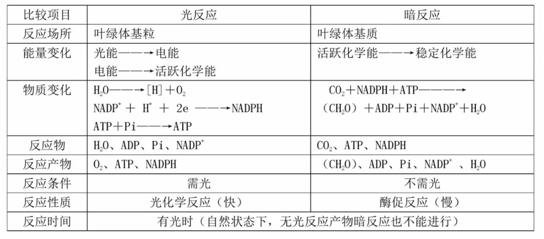 12,光合作用中光反应和暗反应的比较