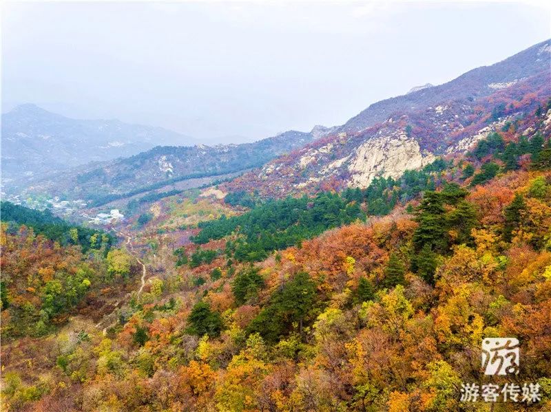 秋游辽宁|北镇大芦花_风景区