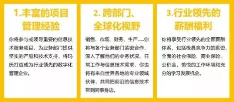 it经理招聘_招聘 互联网IT人才 2万个岗位等你来