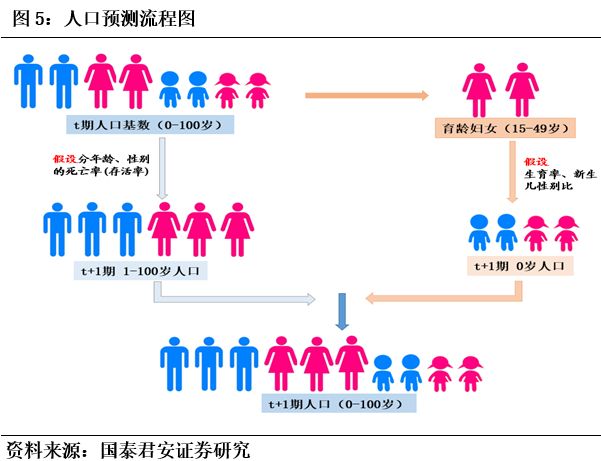 人口生命表的编制_人口普查(3)