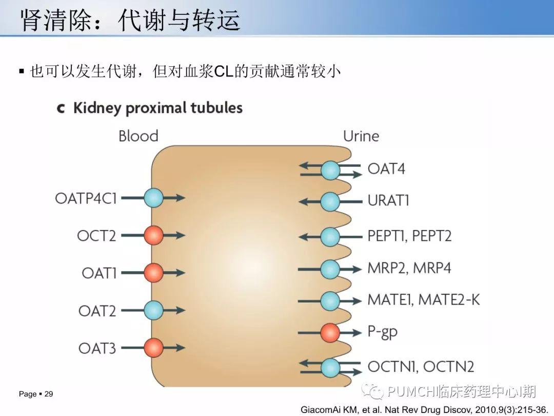 药物原理是什么_美莎是什么药物