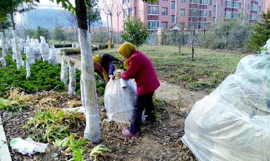 为保植物安全越冬,防寒工作要做好