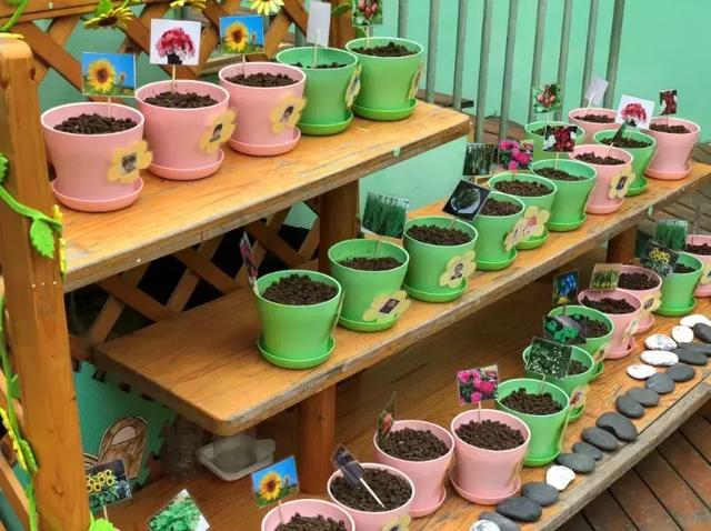 传统手工diy:幼儿园植物角不是摆设,让创意与互动飞起来