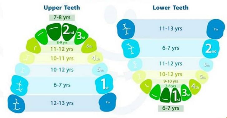 五六岁小孩牙疼怎么办