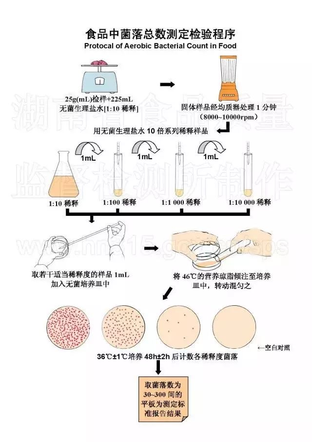 收藏| 微生物检测—流程图!