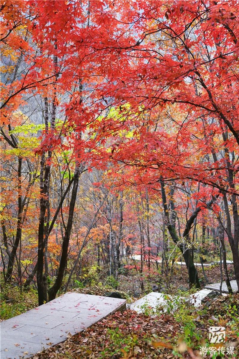 秋游辽宁宽甸青山沟风景区