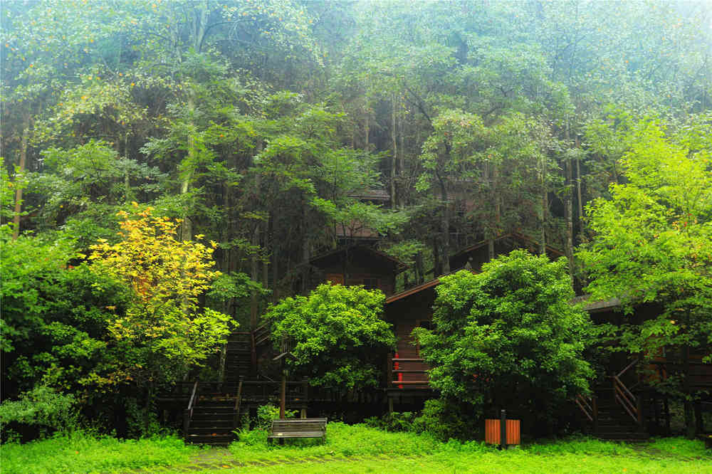 坪坝营原始生态旅游区:北纬30°上的绿野仙踪