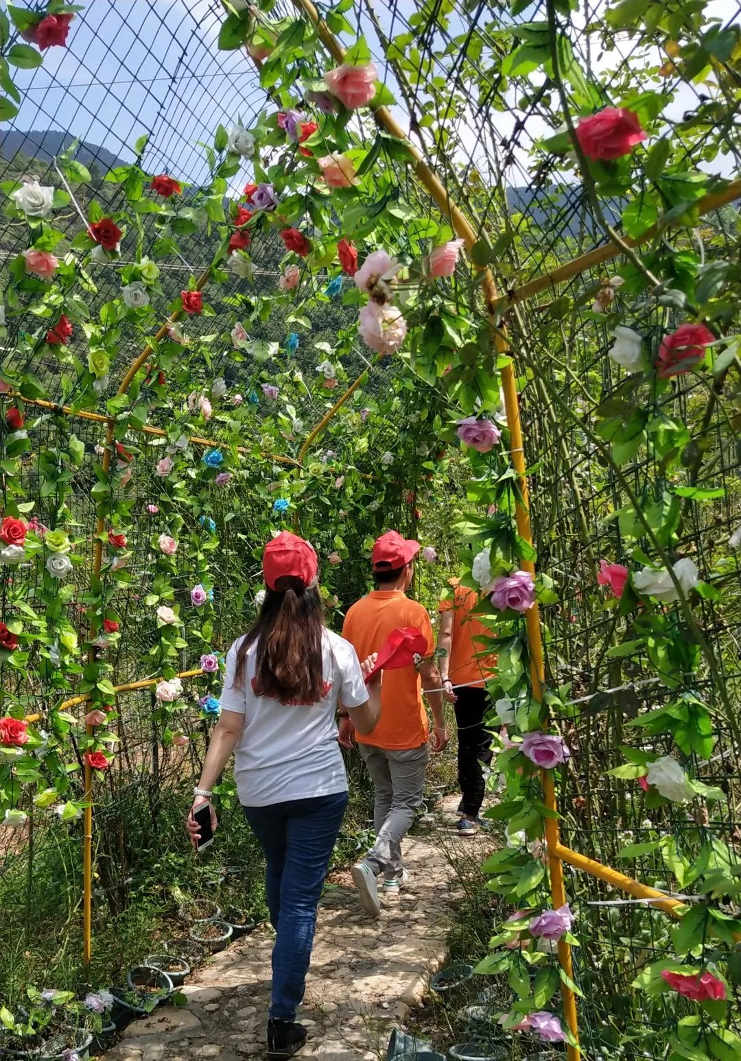 南安玫瑰小镇,是一处以"慢生活"为主题的趣味农庄,学兄们一起探访