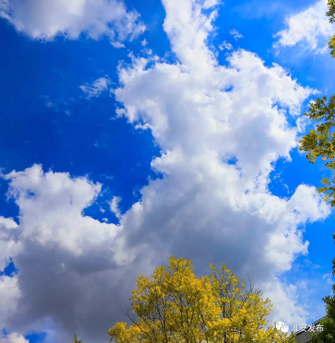 【聚焦】蓝天白云,晴空万里!在淮安的秋天里,让我们一