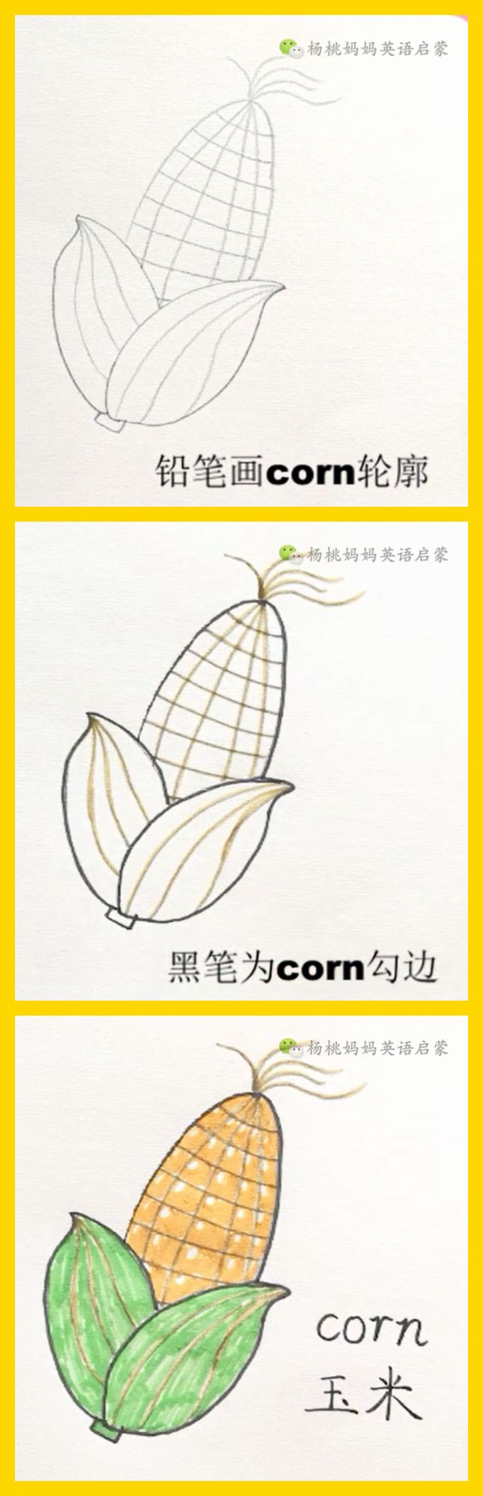 英语萌萌画 | corn 玉米