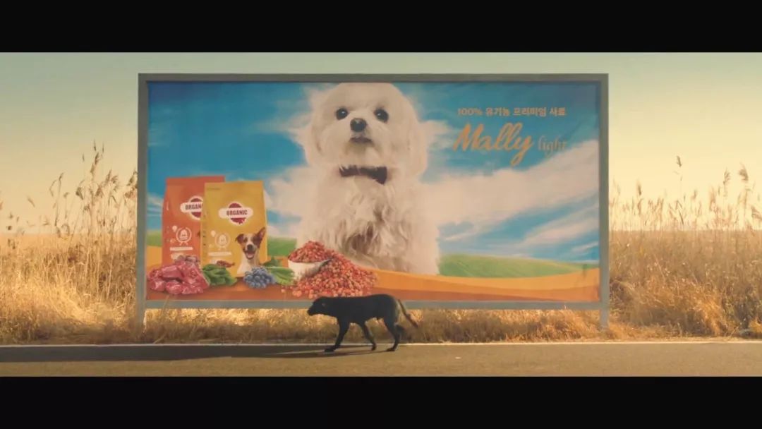 韩国公益广告《患有"抑郁症"的黑狗》,看到最后好心疼