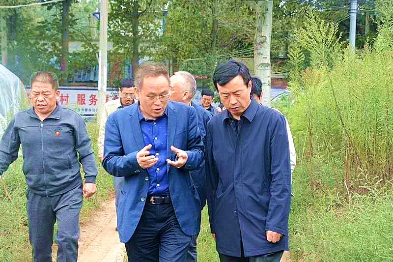 灵宝市副市长杜元恒一行到阳平镇调研指导非洲猪瘟防控工作