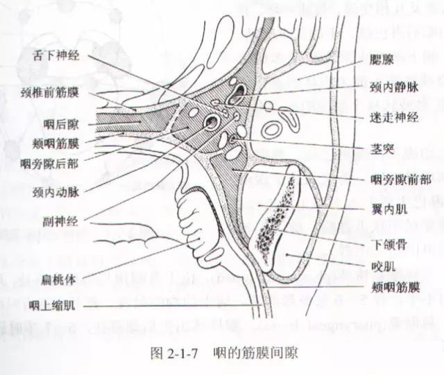 咽喉脓肿怎么办