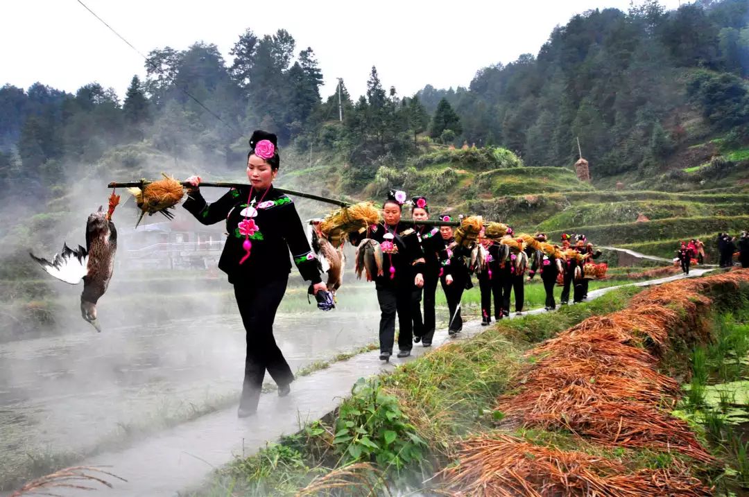 雷山县人口多少_雷山县地图