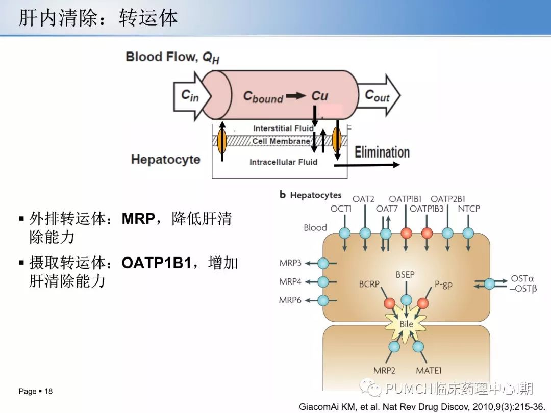 药物原理是什么_美莎是什么药物