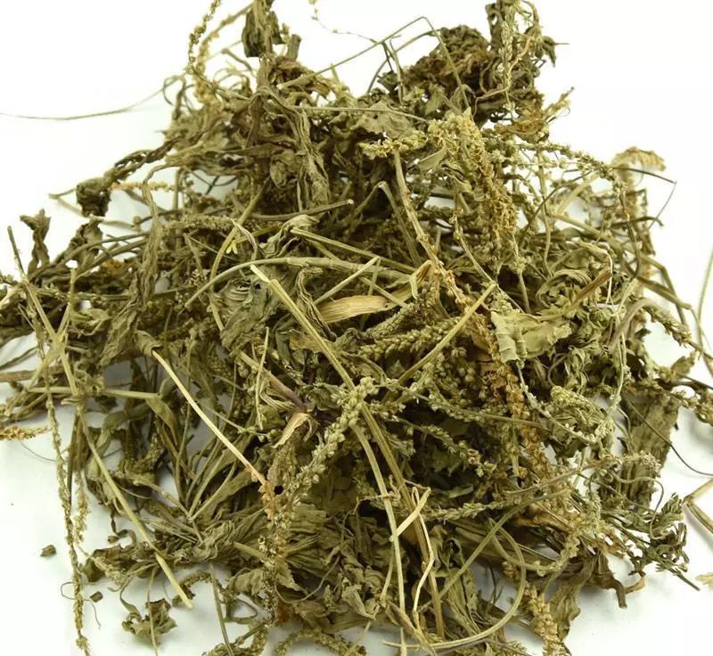 中药饮片:平车前 1,治疗痛风性关节炎:车前草治疗痛风性关节炎的