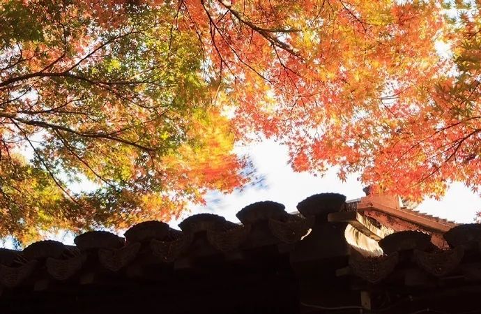 诗词天地二十首清平乐带给你心灵的平静