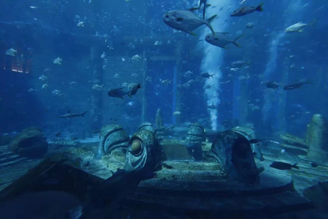 尤为神秘的一隅当属失落的空间水族馆,它呈现出了大家向往的海底世界