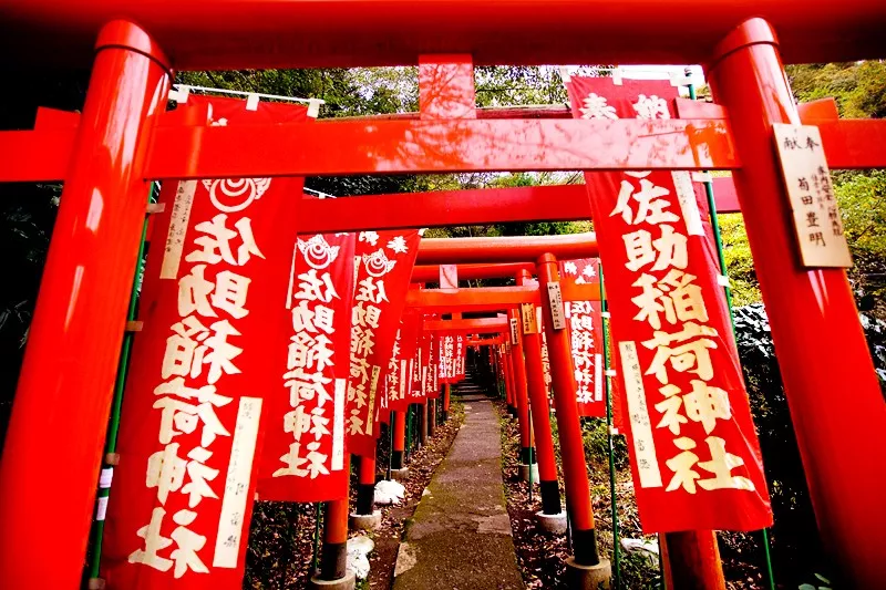 佐助稻荷神社