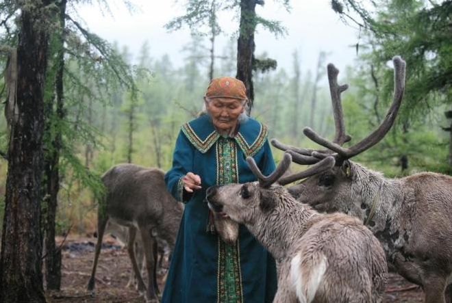 如今大部分的鄂温克人已失去森林和猎枪,少数仍坚持过着传统的生活.