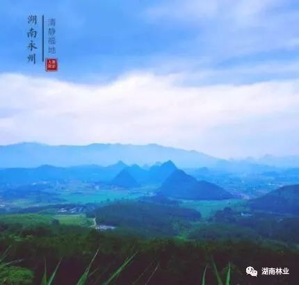 是国家4a景区,湖南新"潇湘八景"之一,国家级森林公园,素以丰富的文物