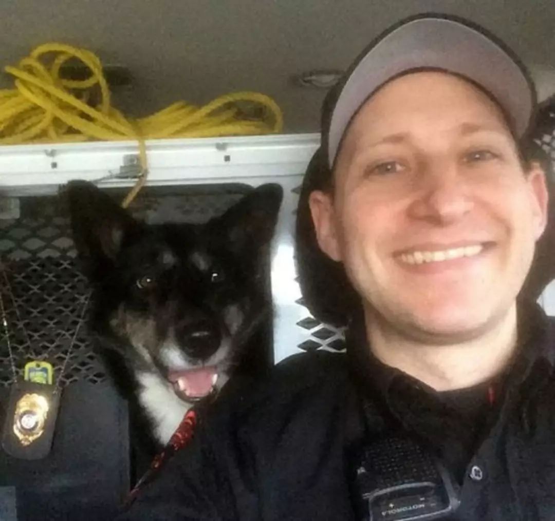 她8年前救助一只流浪狗，8年后狗狗变成警犬救了她的儿子！