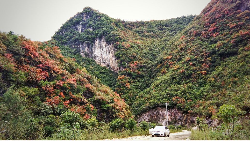 远眺山间五彩斑斓的绝色莫过于穿梭在南化塘镇红色密林而最为诗意的