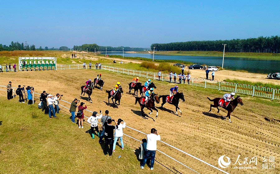 2018中国·砀山国际马术耐力赛黄河故道扬鞭开赛