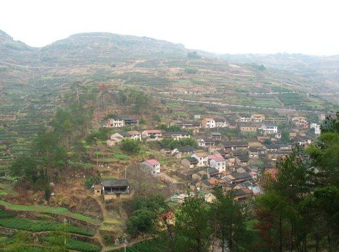 歙县这个村登上天下茗村百佳榜._石门坑村