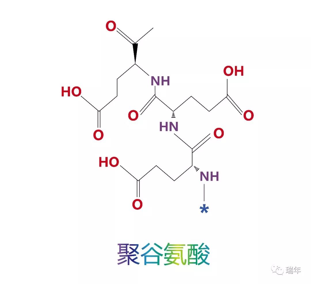 氨基酸家族(四十五聚谷氨酸)