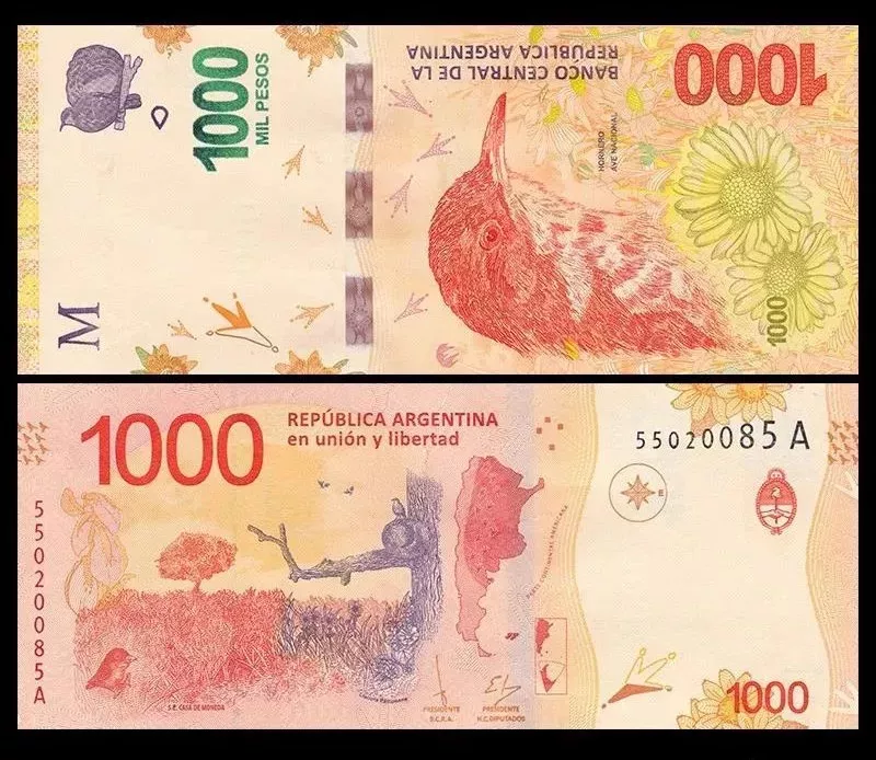 阿根廷真钞 1000比索 棕灶鸟