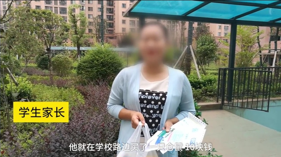 孩子被仓鼠咬了怎么办