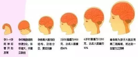 孩子看电视并不可怕,更可怕的是这个!