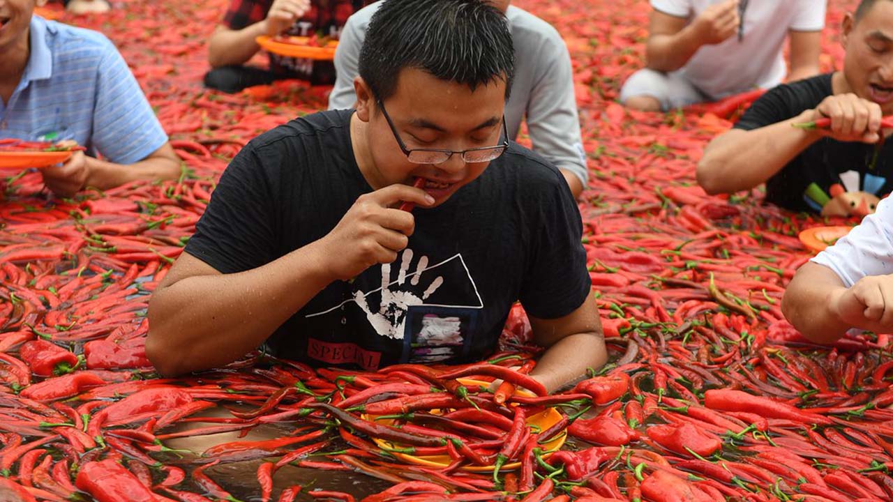 看人的个体差异来,湖南,重庆,贵州,四川一代都喜欢吃辣椒.