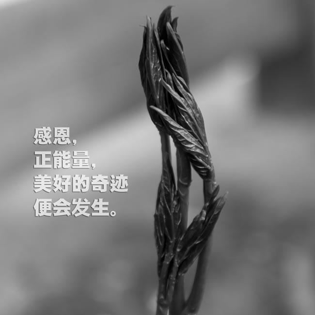 销售收入百分比法_[公告]东方中科：关于深圳证券交易所《关于对北京东方中科集成科技...