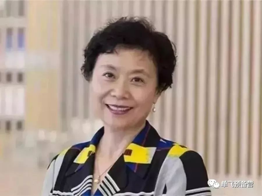 陈杰琦教授全美幼教协会naeyc董事;埃里克森终身教授,博士生项目主任